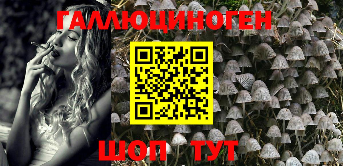 Галлюциногенные грибы Magic Shrooms  Вход с VPN  Куйбышев  Галлюциногенные грибы Psilocybine cubensis 